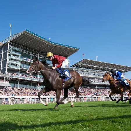 14 Feversham House Stylish 1-bed With Minster Views - Pass The Keys York